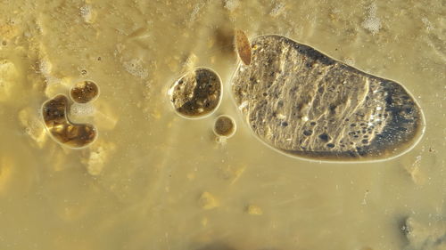 Close-up of bubbles in water