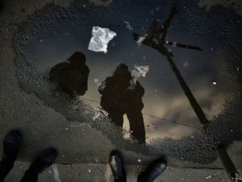 Reflection of trees in puddle