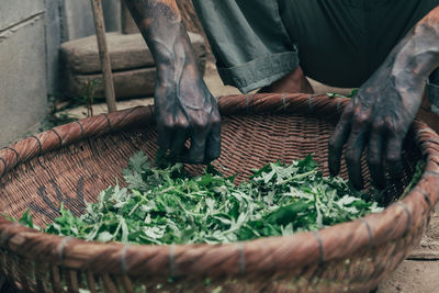 Midsection of man picking leaf vegetables from basket