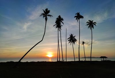 Silhouette palm trees on beach against sky during sunset