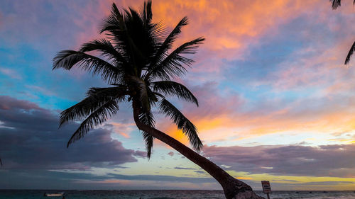 Low angle view of palm tree against sea at sunset