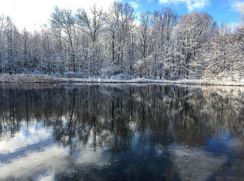 Close-up of tree by lake against sky