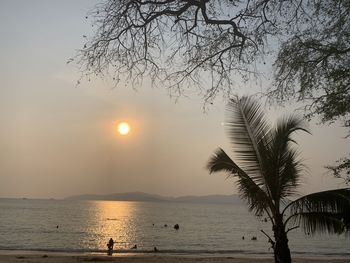 Silhouette tree by sea against sky during sunset