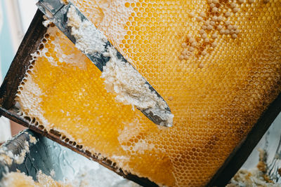 High angle view of ice cream in container