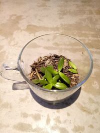 High angle view of salad in bowl on table