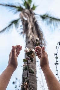Close-up of hand holding palm tree against sky