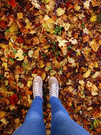 Low section of person standing on maple leaves