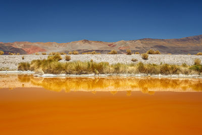 Scenic view of landscape against clear blue sky