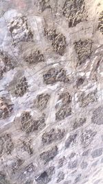 Scenic view of snow covered mountains