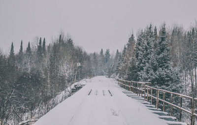 Snow covered trees against sky