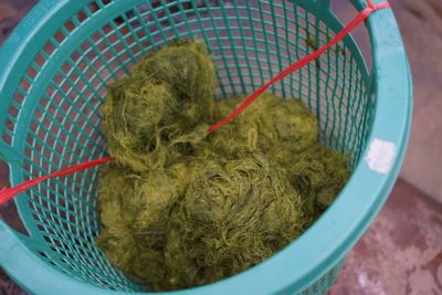 High angle view of seaweed in basket