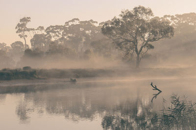 Misty morning on the river