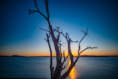 Silhouette bare tree by sea against sky during sunset