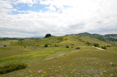 Scenic view of landscape against sky