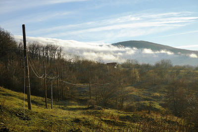 Scenic view of landscape against sky