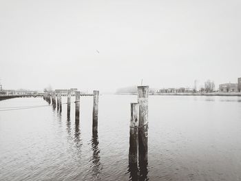 Wooden posts in harbor against clear sky