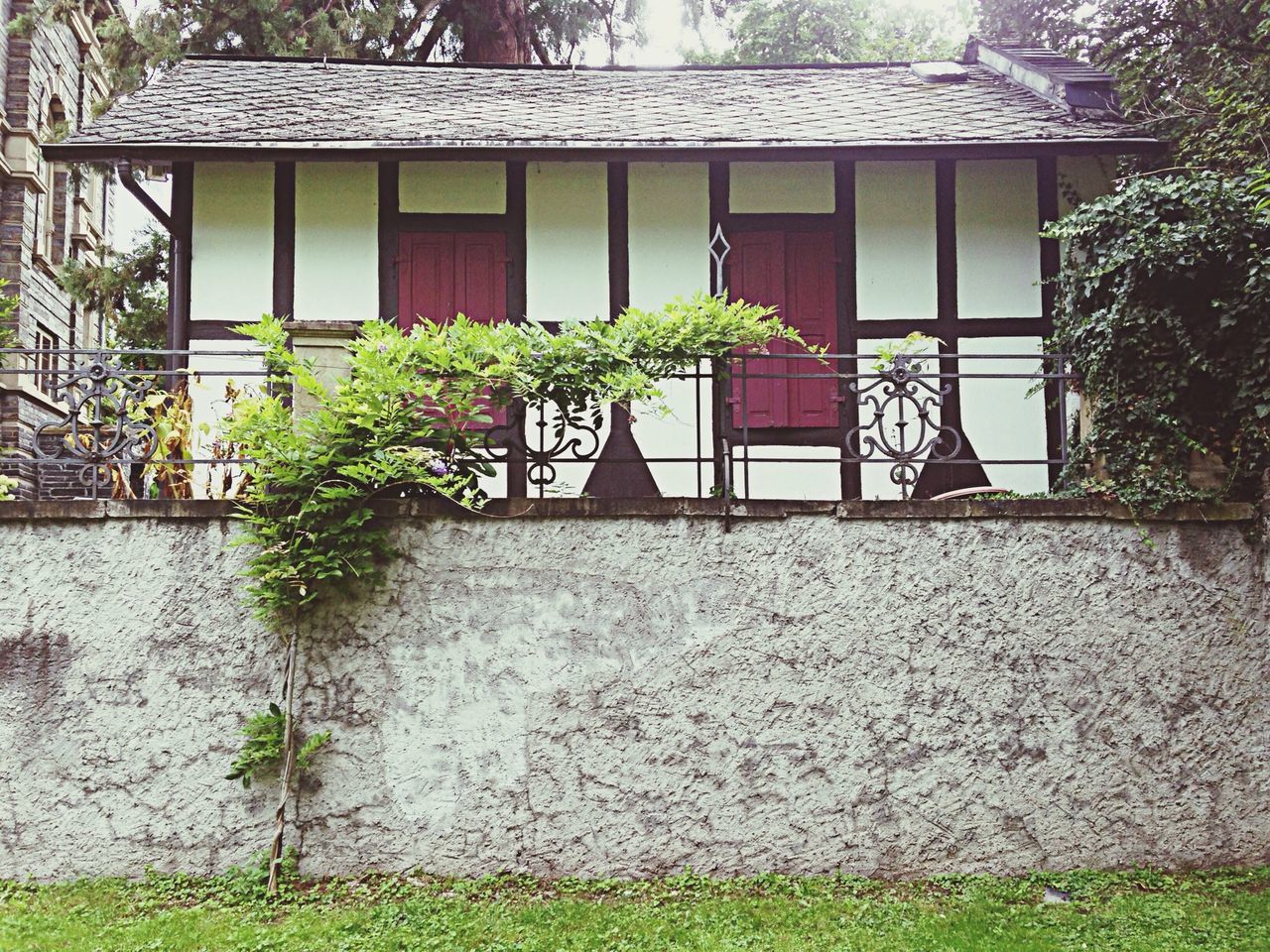 building exterior, architecture, built structure, window, house, plant, tree, growth, residential structure, residential building, building, day, front or back yard, outdoors, sunlight, wall - building feature, low angle view, balcony, potted plant, green color