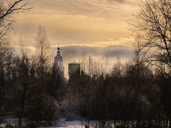 View of bare trees during winter