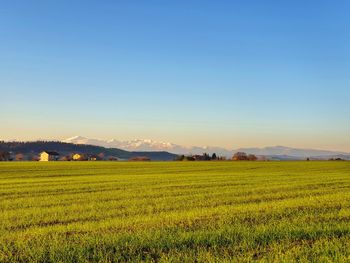 Scenic view of field against sky