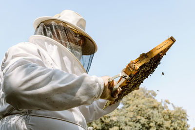 Low angle of unrecognizable beekeeper in protective costume examining honeycomb with bees while working in apiary in sunny summer day