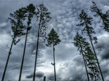 Low angle view of trees against cloudy sky