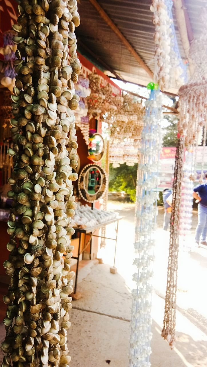 POTTED PLANT HANGING OUTSIDE TEMPLE
