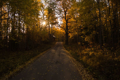 Road amidst trees in forest during autumn