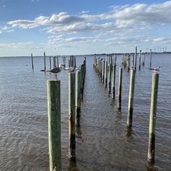 Wooden posts in sea against sky