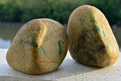 Close-up of bananas on rock