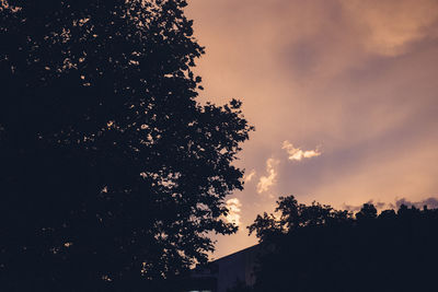 Low angle view of silhouette tree against sky at sunset