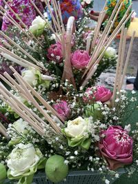 Close-up of pink flowers