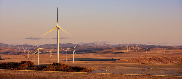 Wind turbines in a field with clear sky