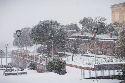 Panoramic view of trees and buildings in city during winter