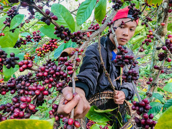 Full length of woman holding fruits