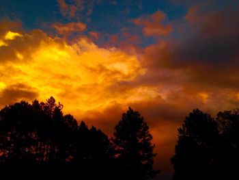 Low angle view of silhouette trees against cloudy sky