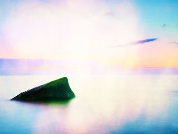Close-up of multi colored leaf in sea against sky