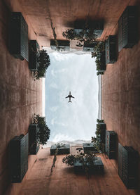 Airplane flying over buildings in city