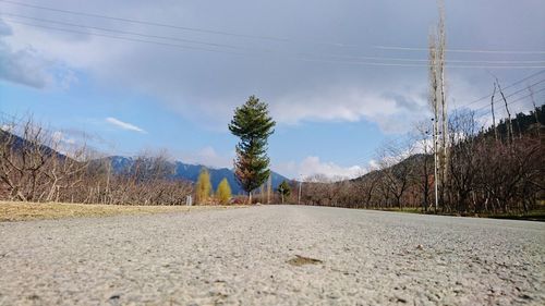 Panoramic view of trees against sky