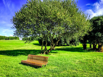 Trees in grass against sky