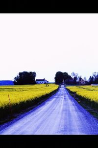 Road passing through field