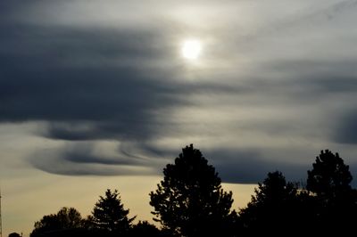 Low angle view of silhouette trees against sky during sunset