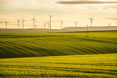 Wind turbines on field against sky