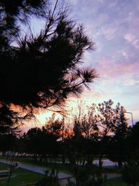 Low angle view of silhouette trees against sky