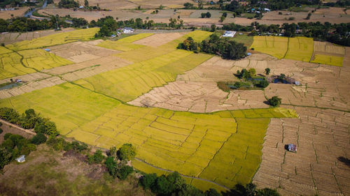 High angle view of agricultural field