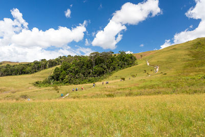 Scenic view of field against sky