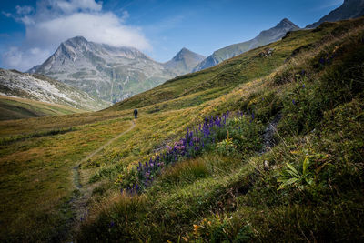 Scenic view of grassy field and mountains against sky