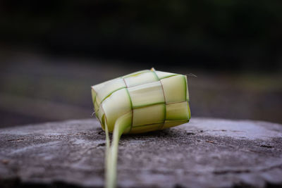 Close-up of green table on field