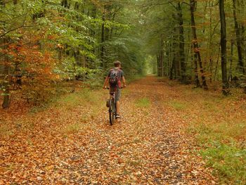 Man riding bicycle on footpath in forest