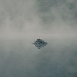 Scenic view of active crater in the forest 