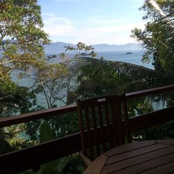 Wooden table and chair by trees and sea